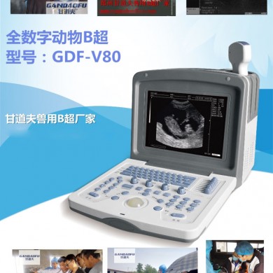 宠物B超彩超_简介