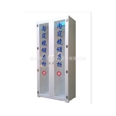 双门内窥镜储存柜_简介