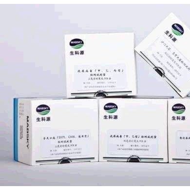 手足口病毒专项检测试剂盒（实时荧光PCR法）_简介