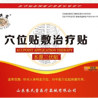 穴位贴敷治疗贴（三伏贴）_简介