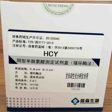 同型半胱氨酸测定试剂盒（循环酶法）_简介