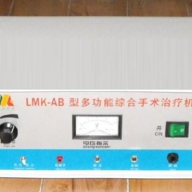 多功能电离子治疗仪_简介
