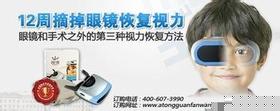 视力训练恢复仪_简介