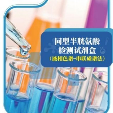 同型半胱氨酸检测试剂盒_简介