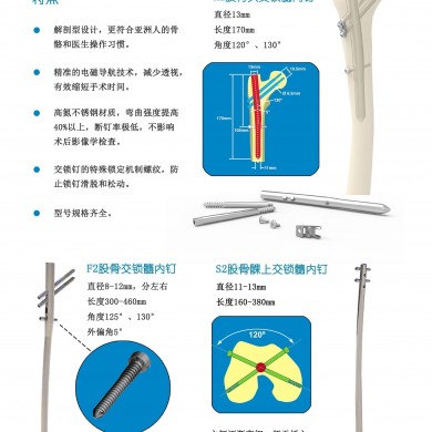 开为Carefix电子导航髓内钉澳大利亚Austofix 导航髓内钉H2股骨头交锁髓内钉_简介