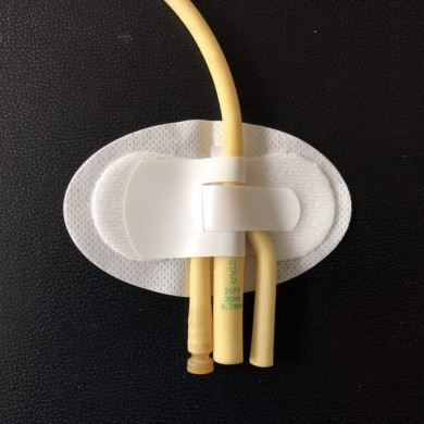 提报导管固定装置_简介