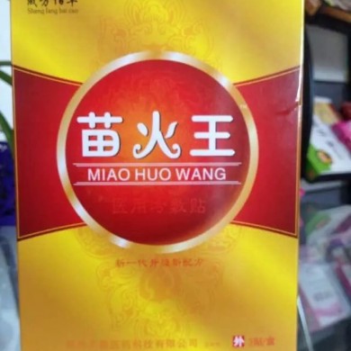 苗火王_简介