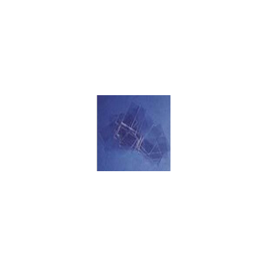 Thermanox™Coverslips NUNC细胞培养盖_简介