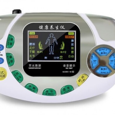 低中频电子脉冲治疗仪QX2001-BI型_简介