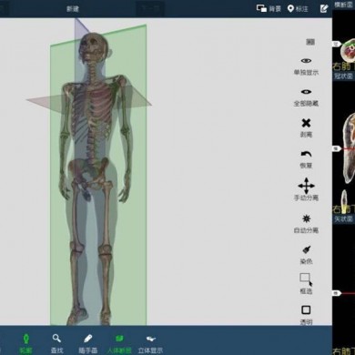 数字人解剖系统临床版_简介