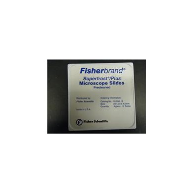 Fisher正电荷防脱载玻片 Fisherbrand Sup_简介