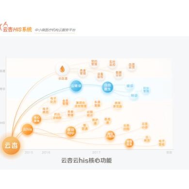 云杏his系统_简介