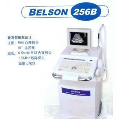 BELSON 256B_简介