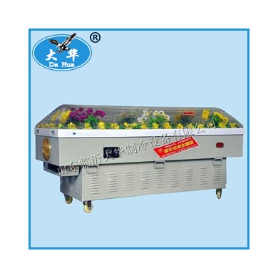 新款N型水晶棺 医用冷柜_简介