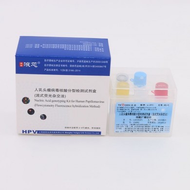 人乳头瘤病毒核酸分型检测试剂盒_简介