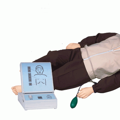 儿童复苏模拟人_简介