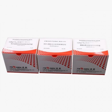 肺癌肿瘤标志物5项联检试剂_简介